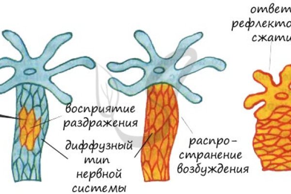 Мега ссылки тор пикабу